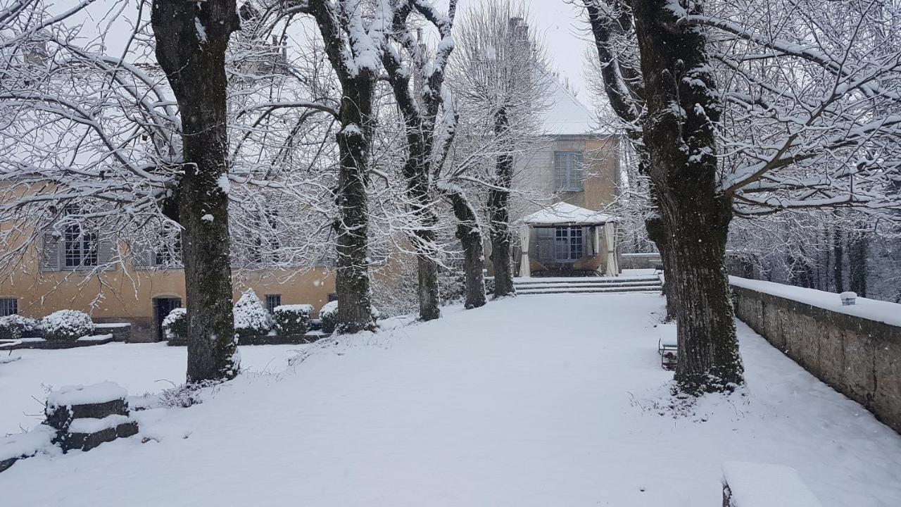 Chateau De Mauvilly Bed & Breakfast Luaran gambar